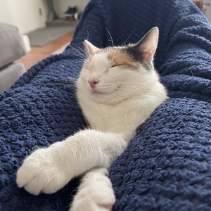 Fundraising Page: Christina Thomas